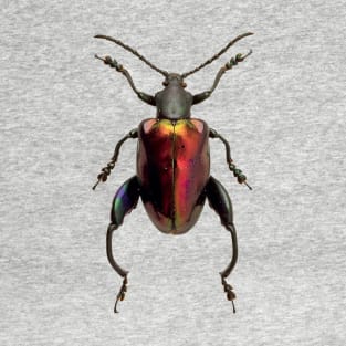 Frog Beetle T-Shirt